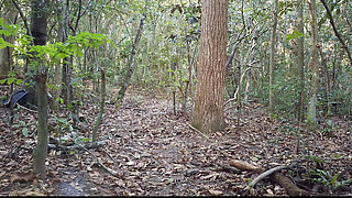 A stranger fucked me in the forest