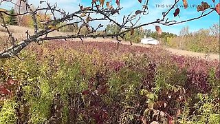 SweetHana Japanese Teen Drained in Garden Under Apple Tree - Happy 18 Year Old Schoolgirl Water Fun