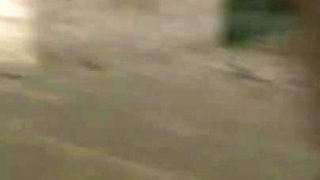 Trailer 341