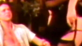 Vanessa the Exciter Pig