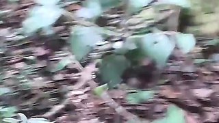 We Have Sex in the Garden of Eden and Nearly Got Caught