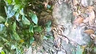 I Found This Girl Lost In Hawai And She Offered Me Sex In Exchange For Me Taking Her To Town. 8 Min - Karol Wendy