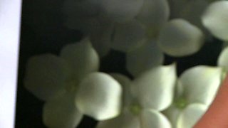 Asian Milf Kim Tao Crotchless Panties Massage