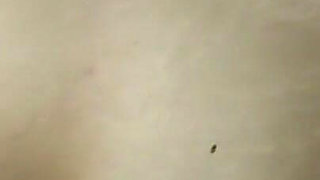 Fuck the Bitch