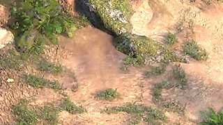 Asian Masseuse Sucks My Cock