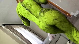BIG TITS African Bouncing On BWC At Casting