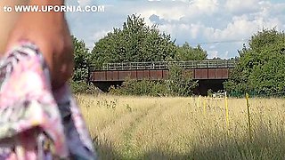In An English Meadow And Flashing On The Train