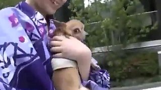 Voyeur video - Yukata is open and fully visible: Amateur, Japanese  Fetish Porn
