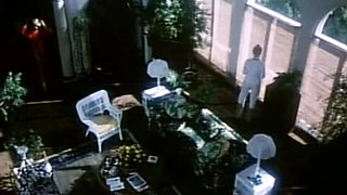 Classic Porn Dvds Marilyn Chambers Insatiable P