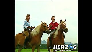 Heidi Porn - HerzogVideos