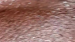 Uncut Porn