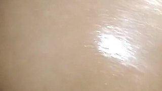 The Best Four-legged Bet