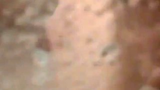 No condoms 18yo boy let scapes inside for a constantly flash into my wife´s pussy