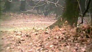 Simona Valli, Attila Schuster And Christophe Clark In Hot Horny Vintage Slut Taking A Big Cock In The Ass