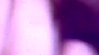 The Spider Plays with the Apparatus