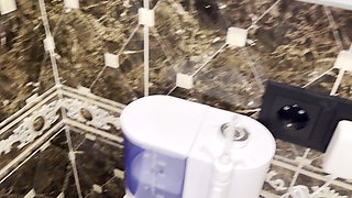 Compilation! Morning Yellow Urine! Pussy in Different Panties! POV!