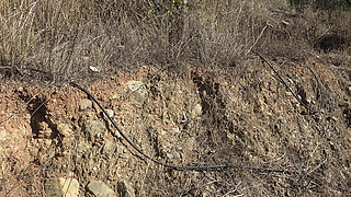 Mature farmers wife lets stepson cum on her hairy pussy