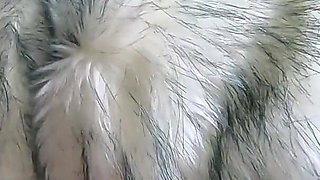 Milfycalla- Face Fuck,cum Play While Wearing a Hot Grey Fur-coat and Long Boots 214