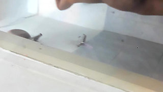 My Step Daughter Behind the Scenes