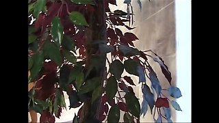 The Most Licking Whores