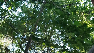 Quick wank in the woods