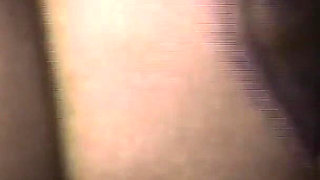 The Gozona Pig Gets Milk