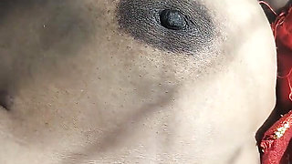 I fucked aunty in the jungle and cum in the pusssy