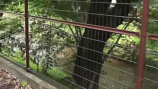 0011446_おばさん 他人棒 背徳などが含まれている