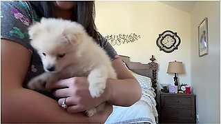 Tiny Micro Bikini Try On Haul Teen 18+ Youtube Haul Lingerie See Thru