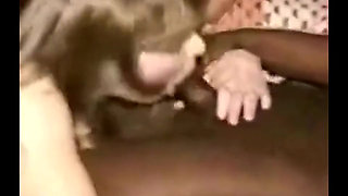 Cuckold Archive - Largest video collection of cuckold videos