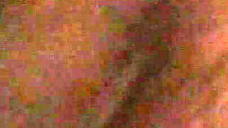 The Gift for My Birthday