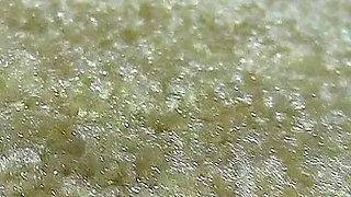 18 Year Old Gymnast Katie