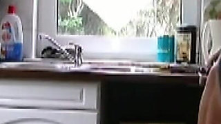 The Kitchen Slave