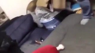 Personal shooting black gal sex video of a meat toilet