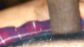Desi Penis