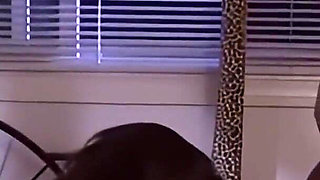 Syren Smiles: an Amazing Beauty, a Young Goddess Fucked Hard and Eager for Orgasm