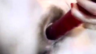 Hairy Amateur Girl Plays with Anal Hole on Webcam