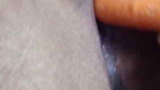 Desi Village Housewife Masturbates with Carrot Inside Pussy at Husband's House