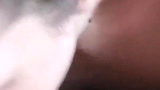 Homemade Cum in Mouth Swallow Blowjob