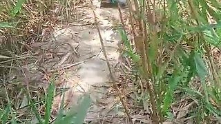 Village Local Bhabhi Outdoor Sex Video