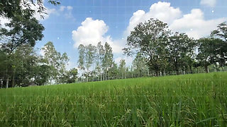 Bangla Choti golpo student and teacher best performance student