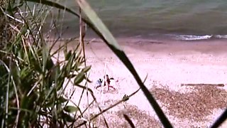 Stepsister and BF caught on the beach
