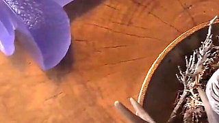 Woolly Socks