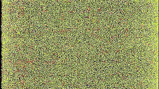 At Moana' Club Lesbian Orgy, DP and Interracial Fuck