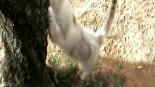 Sex Outdoors In Sexy Italy