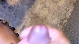 Sexy Slut Gives A Big Cock A Blowjob In The Car