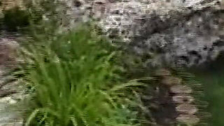 Beautiful Young Redhead Ass Fucked and Cummed on Ass by Three Huge Amateur Cocks