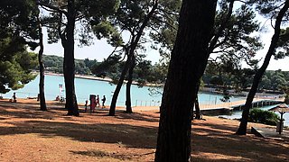 Amateur real small titted party teen slammed in gym class