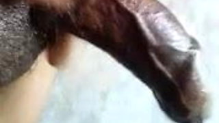 indian dick closeup  cock masag with oil indian boy