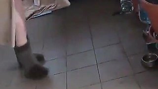 Cheating Wife Dance Play with Husband Friend 228 - Previewtoday My Husband Is Away on a Trip. His Friend Also Lied